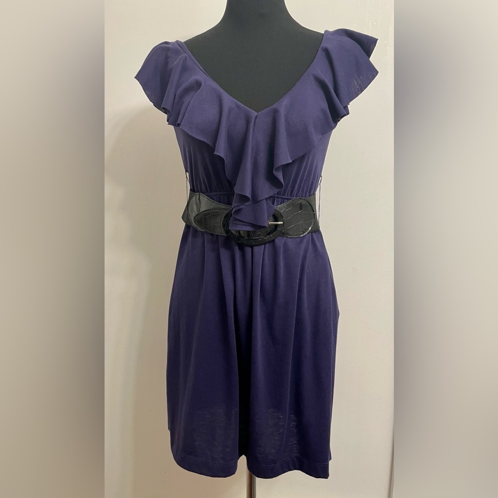Vintage ruffle belted dress